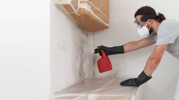 Professional Mold Testing technician working in Trenton, IL